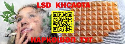 скорость Кингисепп