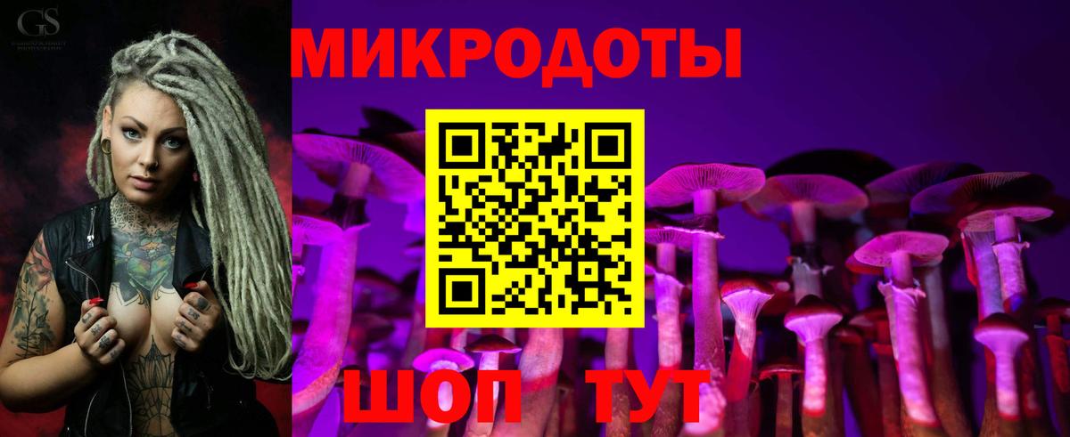 Галлюциногенные грибы прущие грибы  Галлюциногенные грибы MAGIC MUSHROOMS  где можно купить наркотик  Вход с VPN  Кольчугино 